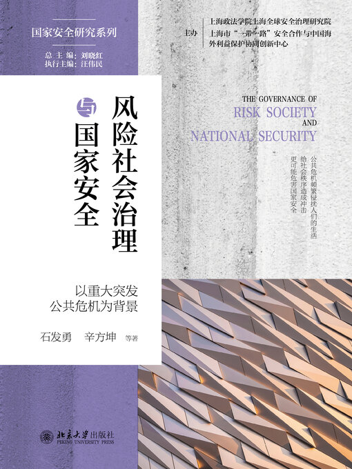 Cover image for 风险社会治理与国家安全